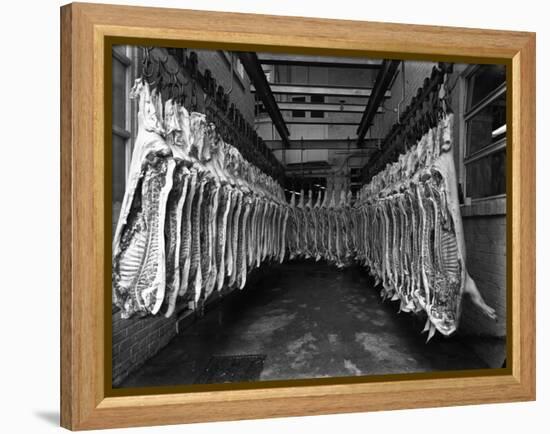 Interior of a Butchery Factory, Rawmarsh, South Yorkshire, 1955-Michael Walters-Framed Premier Image Canvas