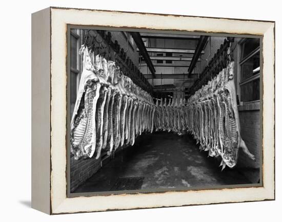 Interior of a Butchery Factory, Rawmarsh, South Yorkshire, 1955-Michael Walters-Framed Premier Image Canvas