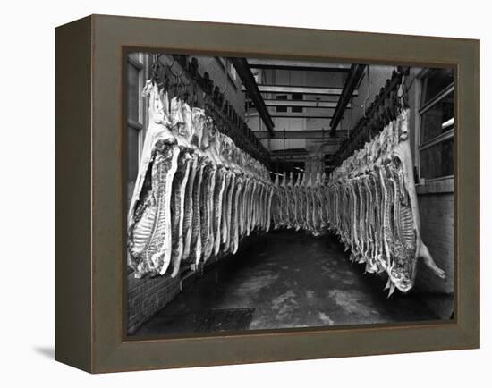 Interior of a Butchery Factory, Rawmarsh, South Yorkshire, 1955-Michael Walters-Framed Premier Image Canvas