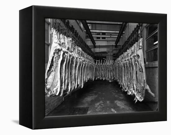 Interior of a Butchery Factory, Rawmarsh, South Yorkshire, 1955-Michael Walters-Framed Premier Image Canvas