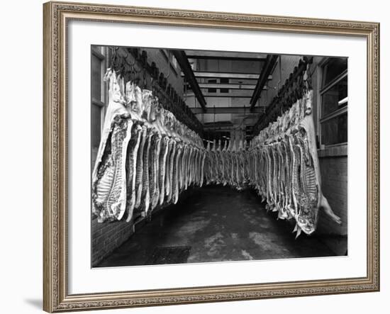 Interior of a Butchery Factory, Rawmarsh, South Yorkshire, 1955-Michael Walters-Framed Photographic Print