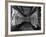 Interior of a Butchery Factory, Rawmarsh, South Yorkshire, 1955-Michael Walters-Framed Photographic Print