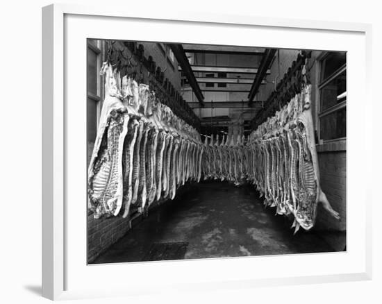 Interior of a Butchery Factory, Rawmarsh, South Yorkshire, 1955-Michael Walters-Framed Photographic Print