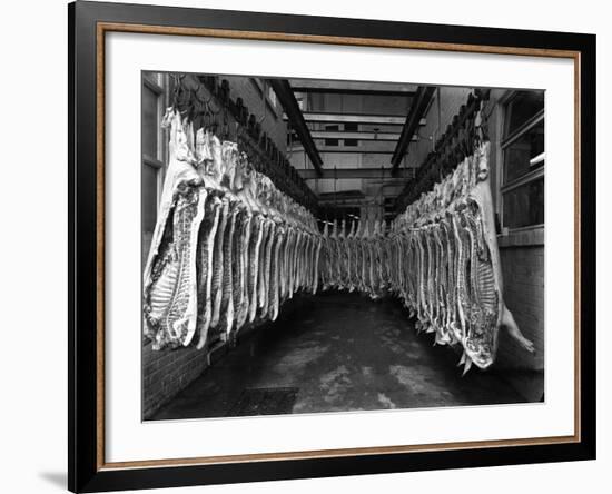 Interior of a Butchery Factory, Rawmarsh, South Yorkshire, 1955-Michael Walters-Framed Photographic Print