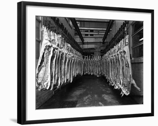 Interior of a Butchery Factory, Rawmarsh, South Yorkshire, 1955-Michael Walters-Framed Photographic Print