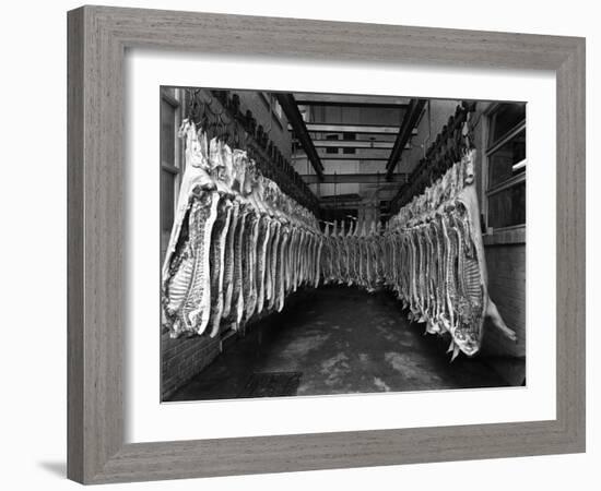 Interior of a Butchery Factory, Rawmarsh, South Yorkshire, 1955-Michael Walters-Framed Photographic Print