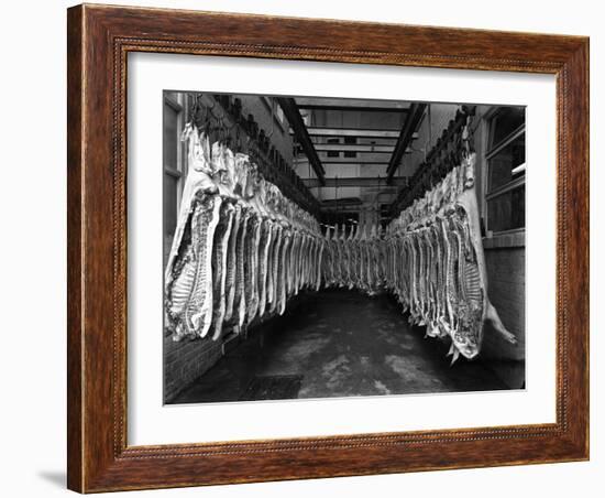 Interior of a Butchery Factory, Rawmarsh, South Yorkshire, 1955-Michael Walters-Framed Photographic Print