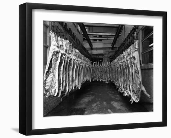 Interior of a Butchery Factory, Rawmarsh, South Yorkshire, 1955-Michael Walters-Framed Photographic Print