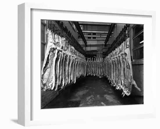 Interior of a Butchery Factory, Rawmarsh, South Yorkshire, 1955-Michael Walters-Framed Photographic Print