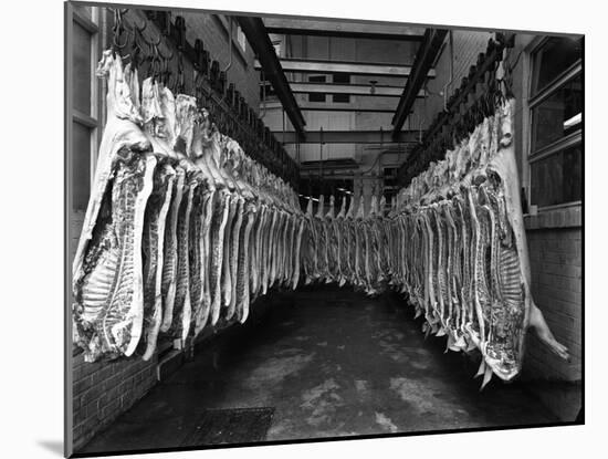 Interior of a Butchery Factory, Rawmarsh, South Yorkshire, 1955-Michael Walters-Mounted Photographic Print