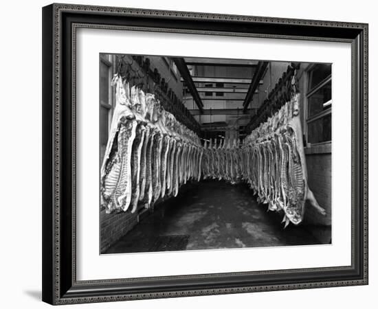 Interior of a Butchery Factory, Rawmarsh, South Yorkshire, 1955-Michael Walters-Framed Photographic Print