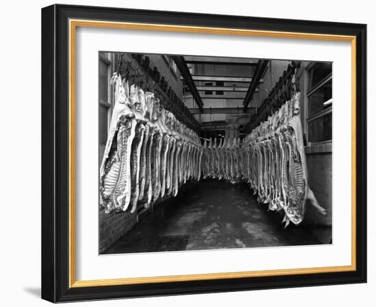 Interior of a Butchery Factory, Rawmarsh, South Yorkshire, 1955-Michael Walters-Framed Photographic Print