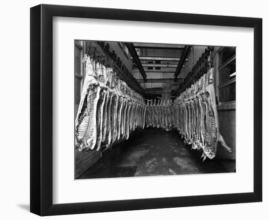 Interior of a Butchery Factory, Rawmarsh, South Yorkshire, 1955-Michael Walters-Framed Photographic Print