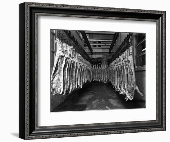 Interior of a Butchery Factory, Rawmarsh, South Yorkshire, 1955-Michael Walters-Framed Photographic Print