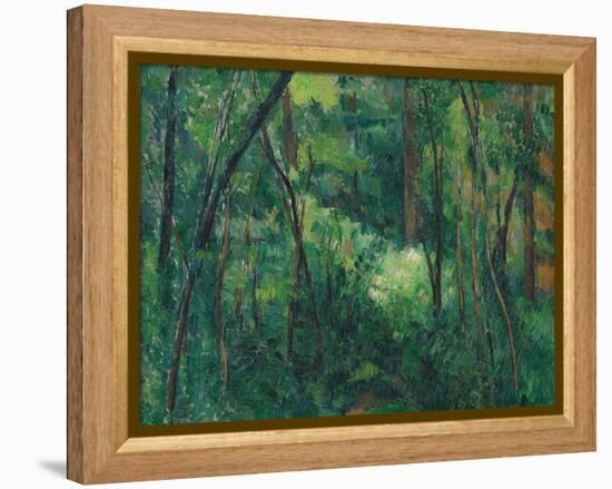 Interior of a Forest, Ca 1885-Paul Cézanne-Framed Premier Image Canvas