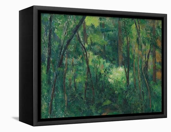 Interior of a Forest, Ca 1885-Paul Cézanne-Framed Premier Image Canvas