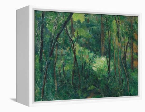 Interior of a Forest, Ca 1885-Paul Cézanne-Framed Premier Image Canvas