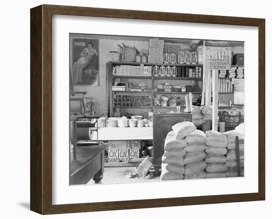 Interior of a general store in Moundville, Alabama, 1936-Walker Evans-Framed Photographic Print