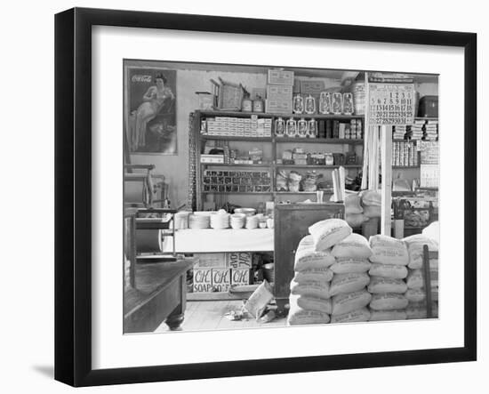 Interior of a general store in Moundville, Alabama, 1936-Walker Evans-Framed Photographic Print