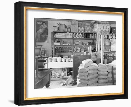 Interior of a general store in Moundville, Alabama, 1936-Walker Evans-Framed Photographic Print