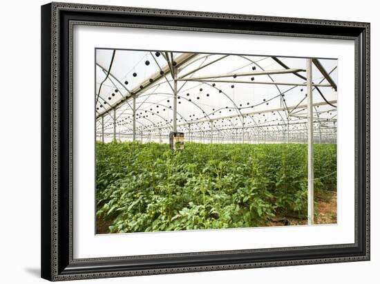 Interior of a Greenhouse-null-Framed Photographic Print