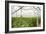 Interior of a Greenhouse-null-Framed Photographic Print