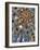 Interior of Basilica Sagrada Familia, Barcelona, Catalonia, Spain-Ivan Vdovin-Framed Photographic Print