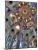 Interior of Basilica Sagrada Familia, Barcelona, Catalonia, Spain-Ivan Vdovin-Mounted Photographic Print