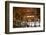 Interior of Cafe Brasileira, Chiado, Lisbon, Portugal, South West Europe-Neil Farrin-Framed Photographic Print