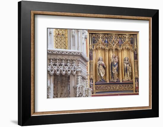 Interior of Cathedral of St. Elizabeth, Kosice, Kosice Region, Slovakia, Europe-Ian Trower-Framed Photographic Print