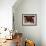 Interior of Chinese Temple in Sibu, a Port on the Rajang River in Sarawak, Malaysia, Southeast Asia-Robert Francis-Framed Photographic Print displayed on a wall