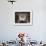 Interior of Dome, St. Paul's Cathedral, Mdina, Malta, Europe-Nick Servian-Framed Photographic Print displayed on a wall