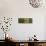 Interior of German House in the Deserted Mining Town of Kolmanskop-Lee Frost-Photographic Print displayed on a wall