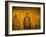 Interior of Hagia Sophia, Istanbul, Turkey-Darrell Gulin-Framed Photographic Print