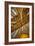 Interior of Jacobin Church of Toulouse-Jon Hicks-Framed Photographic Print