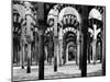 Interior of Mosque at Cordoba-null-Mounted Photographic Print