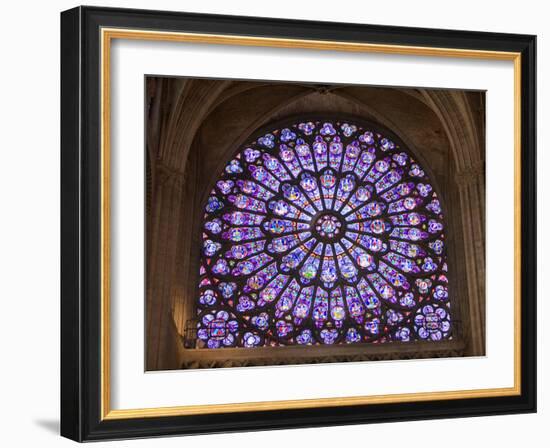 Interior of Notre Dame Cathedral, Paris, France-Jim Zuckerman-Framed Photographic Print