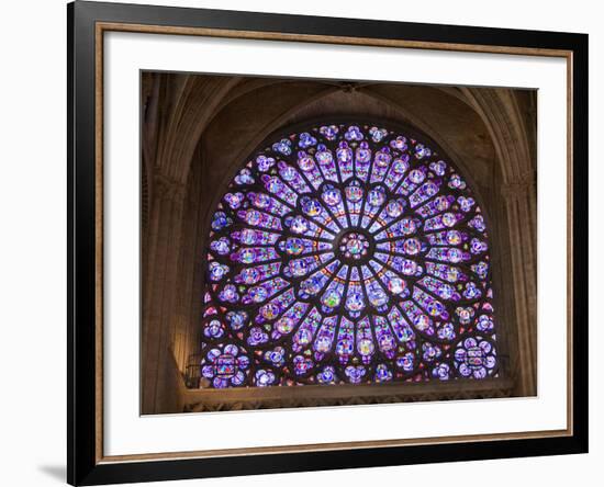 Interior of Notre Dame Cathedral, Paris, France-Jim Zuckerman-Framed Photographic Print