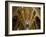 Interior of Notre Dame Cathedral with Pipe Organ in Background, Paris, France-Jim Zuckerman-Framed Photographic Print