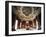 Interior of Palazzo Ajutamicristo, Palermo, Sicily, Italy-null-Framed Giclee Print