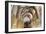 Interior of Pinkas Synagogue-null-Framed Photographic Print