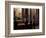 Interior of Sao Domingo Church, Lisbon, Portugal-Michele Molinari-Framed Photographic Print