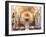 Interior of St Johns Co-Cathedral, Valletta, Malta-Peter Thompson-Framed Photographic Print