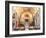Interior of St Johns Co-Cathedral, Valletta, Malta-Peter Thompson-Framed Photographic Print