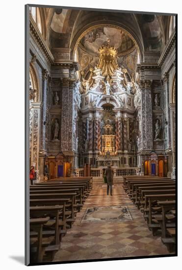 Interior of St. Maria Di Nazareth Church, Venice, UNESCO World Heritage Site, Veneto, Italy, Europe-Guy Thouvenin-Mounted Photographic Print