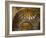 Interior of St. Mark's Basilica with Golden Byzantine Mosaics Illuminated, Venice-Peter Barritt-Framed Photographic Print