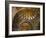 Interior of St. Mark's Basilica with Golden Byzantine Mosaics Illuminated, Venice-Peter Barritt-Framed Photographic Print