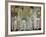 Interior of St. Peter's, Rome, c.1754-Giovanni Paolo Pannini-Framed Giclee Print