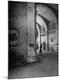 Premium Photographic Print