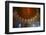 Interior of the dome of Sheikh Lotfollah Mosque, Isfahan, Iran, Middle East-James Strachan-Framed Photographic Print